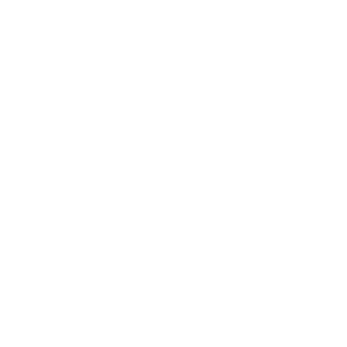 FRIDSON Logo Footer